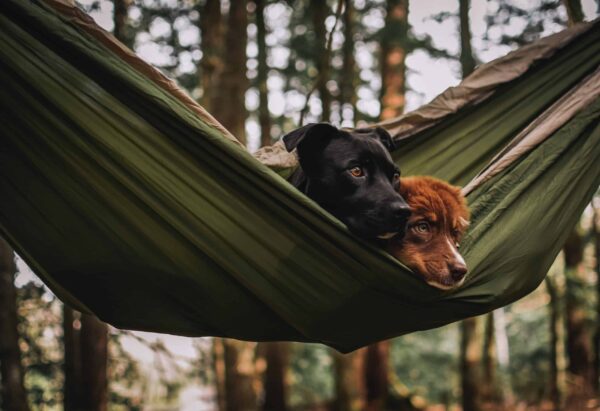 Recycled Hammock with Straps - Image 6