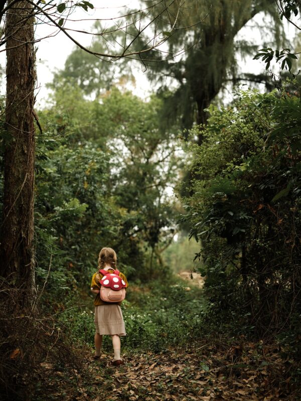 ZoyZoii Mushroom Bag Airplane - Image 15